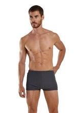 Load image into Gallery viewer, Model Front: Blueman Sunga / Boxer Sunga Berlim Colonia Cinza