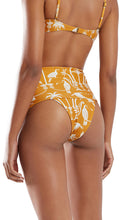 Load image into Gallery viewer, Image 07: Blueman Bottom Bottom Buzios Tucanus