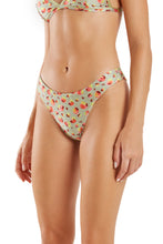 Load image into Gallery viewer, Gallery: Blueman Bottom Bottom Dance Ariba Double Leopardus