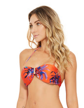 Load image into Gallery viewer, Image 02: Blueman Top Top Prestígio Noturnella