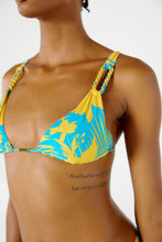 Load image into Gallery viewer, Image 07: Blueman Top Top Ubatuba Orquidario

