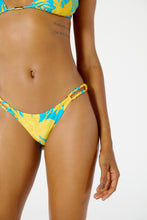 Load image into Gallery viewer, Image 07: Blueman Bottom Bottom Ubatuba Orquidario
